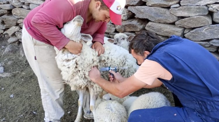 Avanza la asistencia sanitaria en el sector rural de San Luis