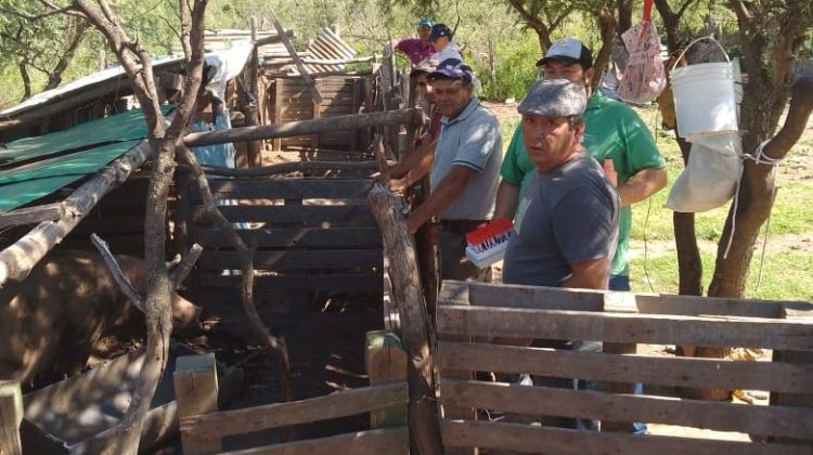 El plan ‘Asistencia Sanitaria’ continúa con la atención integral a los productores rurales