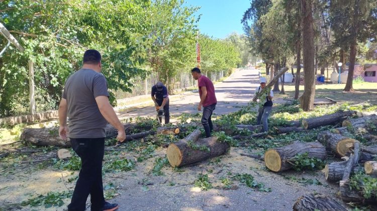 Se registraron daños leves en los predios deportivos tras la tormenta