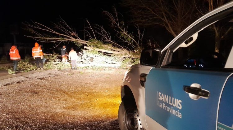 Trabajan en diversas rutas y autopistas para solucionar los inconvenientes que causó el temporal