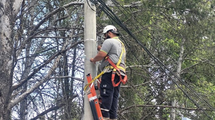 Restituyen el servicio en más de 200 antenas wifi y avanza la normalización de la conectividad