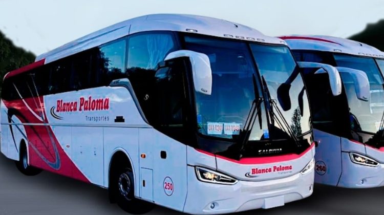 Un nuevo servicio de transporte público conectará las localidades del norte provincial