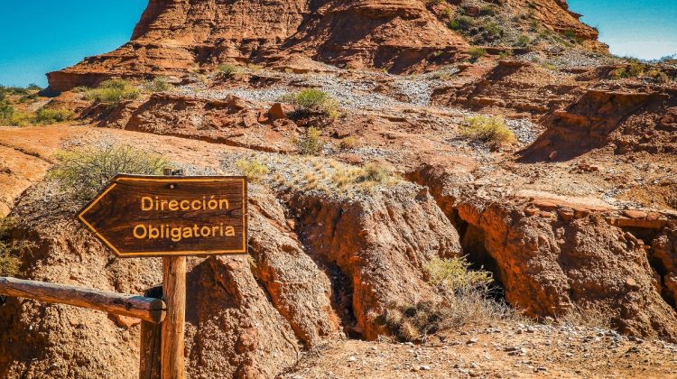 Sierras de las Quijadas, un lugar para conocer y aprender sobre nuestra biodiversidad