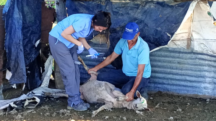 Brindaron asistencia sanitaria a productores del norte de la provincia