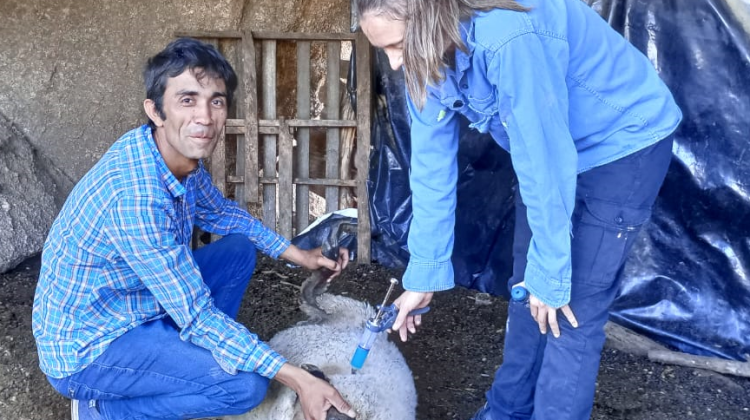 La asistencia sanitaria del ministerio de Producción llegó al paraje El Álamo