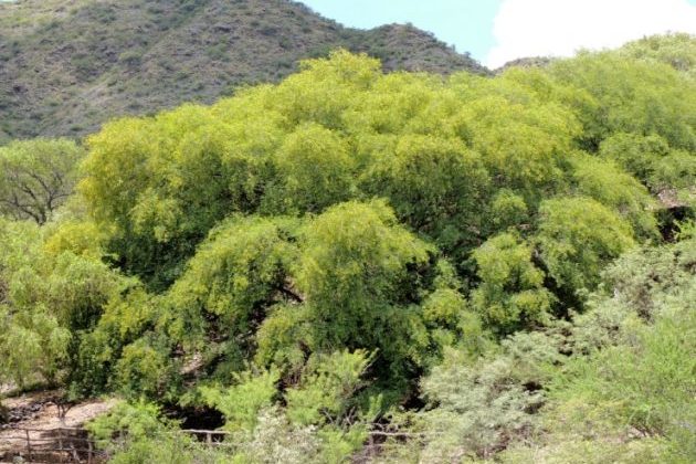 El Parque Provincial ‘Bajo de Véliz’ permanecerá cerrado al público hasta el viernes