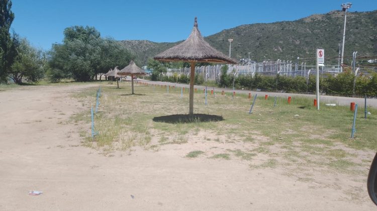 Reemplazaron árboles en la zona de Potrero de los Funes