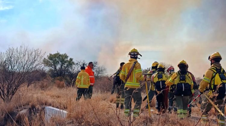 Alertan por un alto riesgo de incendios forestales en San Luis