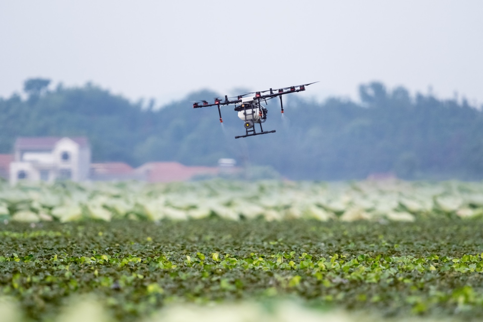 Reforzarán el control de aplicaciones aéreas de agroquímicos en San Luis