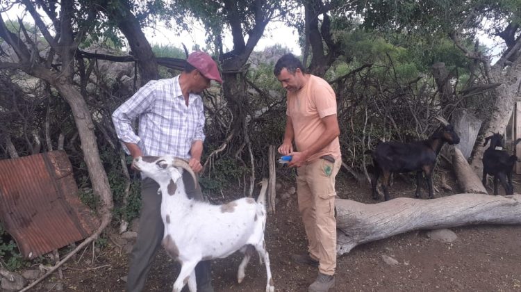 El Vinagrillo y Puesto Balzora recibieron asistencia técnica y sanitaria