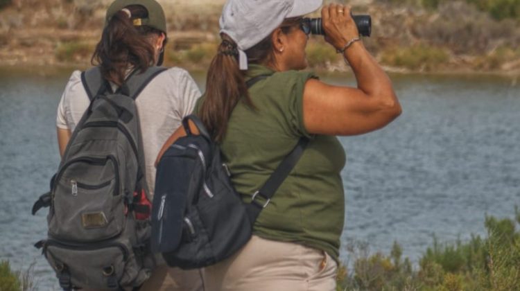 Realizaron un censo internacional simultáneo de las aves playeras