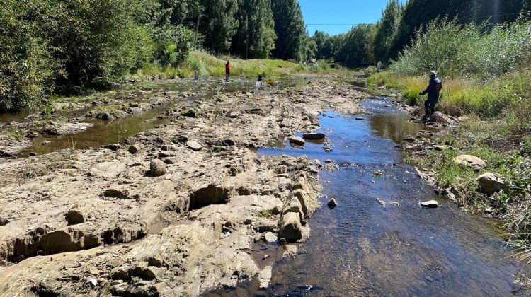 La secretaría de Ambiente evalúa la calidad del agua en La Carolina  