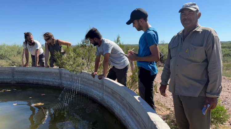 San Luis implementó rampas de rescate de animales en cinco establecimientos