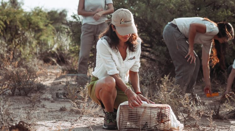 La ‘Semana por la Conservación’ cerró con una liberación de reptiles, aves y mamíferos