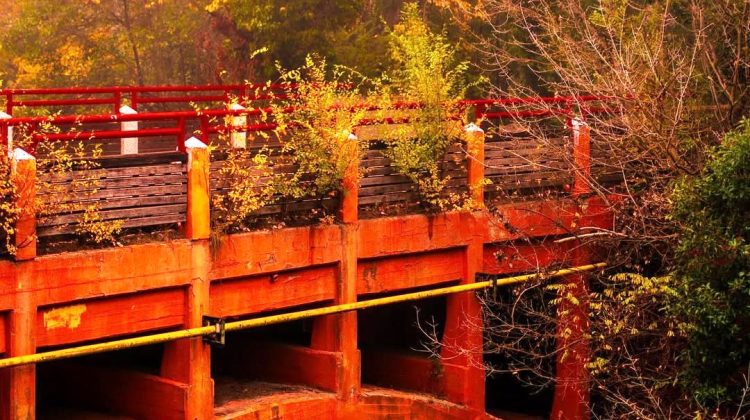 Viví la magia del otoño en San Luis, descubrí la belleza de sus paisajes