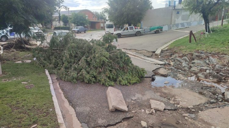 Reporte general de la situación en la Provincia tras el temporal