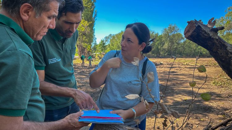 Constataron un desmonte no autorizado realizado en cercanías al Salto de la Salamanca