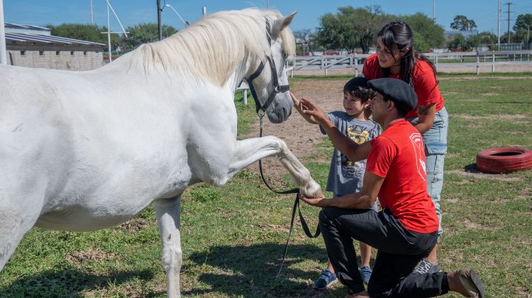 Comenzó la actividad en los Centros de Equinoterapia de San Luis y Villa Mercedes