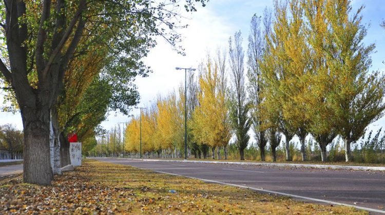 Para este martes y miércoles, las jornadas serán algo inestables y las máximas llegarán a los 24°C
