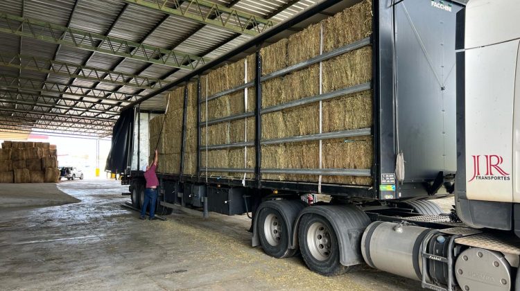 La AgroZAL se conjuga con el sector privado para potenciar las exportaciones desde la región