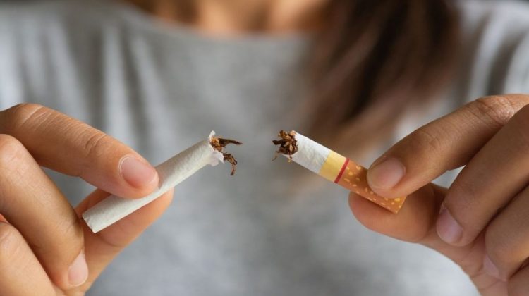 Día Mundial sin Tabaco: desenmascarar su atractivo protege a los jóvenes