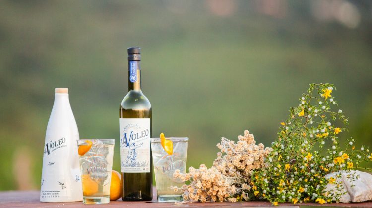 San Luis participará en la Expo Delicatessen & Vinos en Córdoba