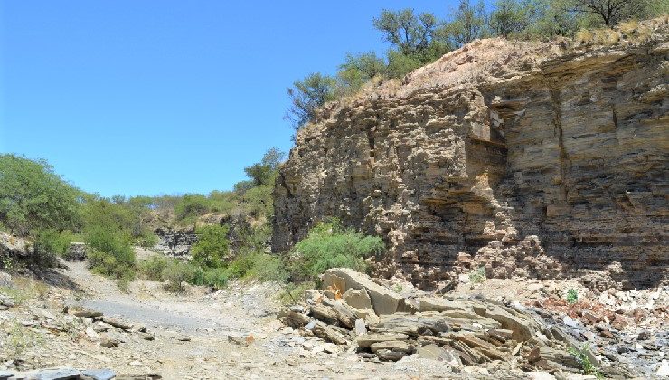 Bajo de Véliz y ‘El Guayacán’: tesoros paleontológicos y naturales de San Luis