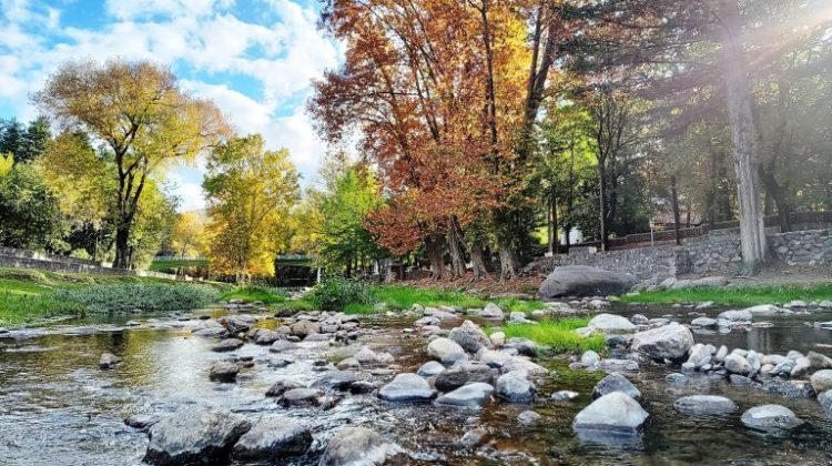 Otoño en San Luis: un viaje entre colores, historia y naturaleza