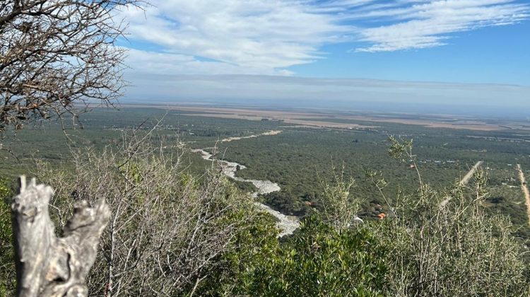 ‘Re-conociendo los árboles de San Luis’ realizó su segunda salida de campo