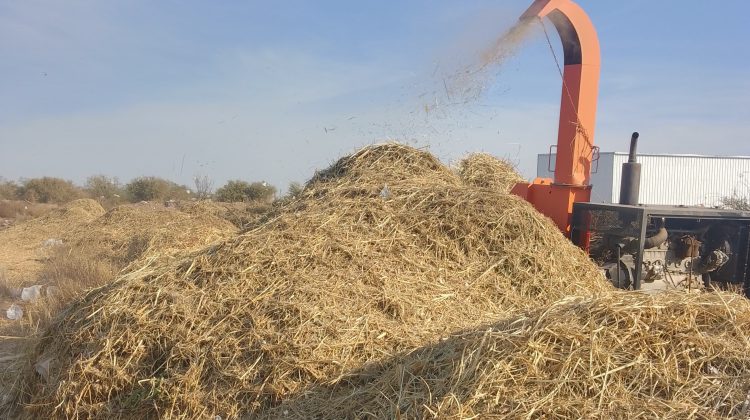 La planta recuperadora ‘Peuma’ produjo 30 toneladas de compost