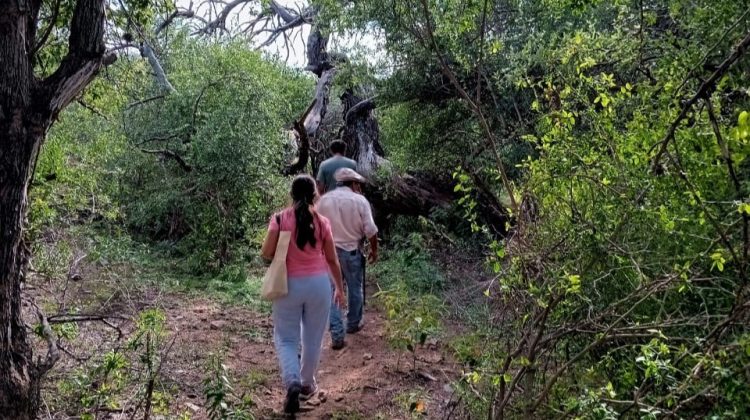 La secretaría de Ambiente invita a la comunidad a sumarse a re-conocer la flora local