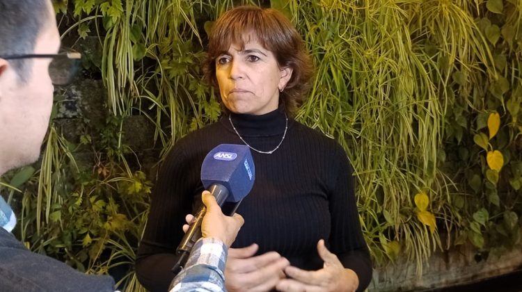 PANE: Los padres podrán optar si sus hijos almuerzan o no en la escuela 