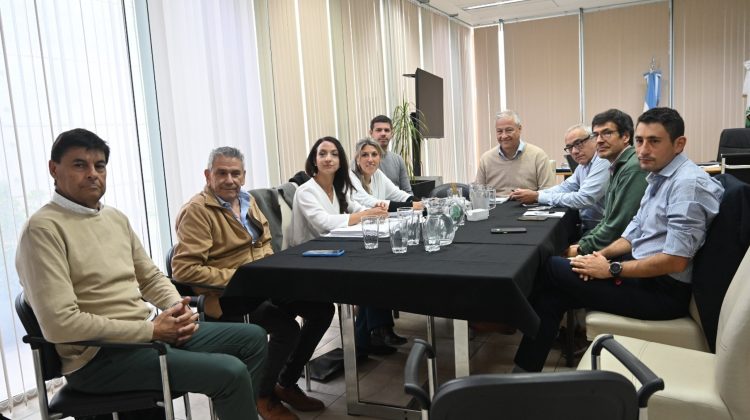 El Consejo Federal de Inversiones se reunió con organismos gubernamentales