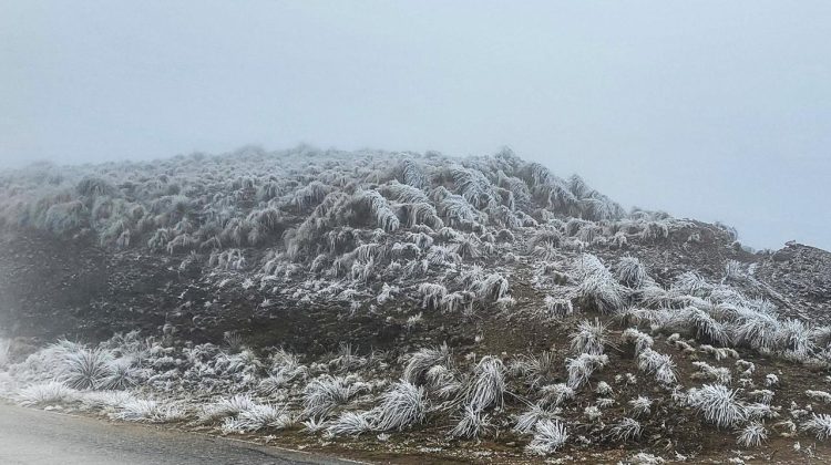 Pronostican que seguirán las lluvias, el viento y las bajas temperaturas