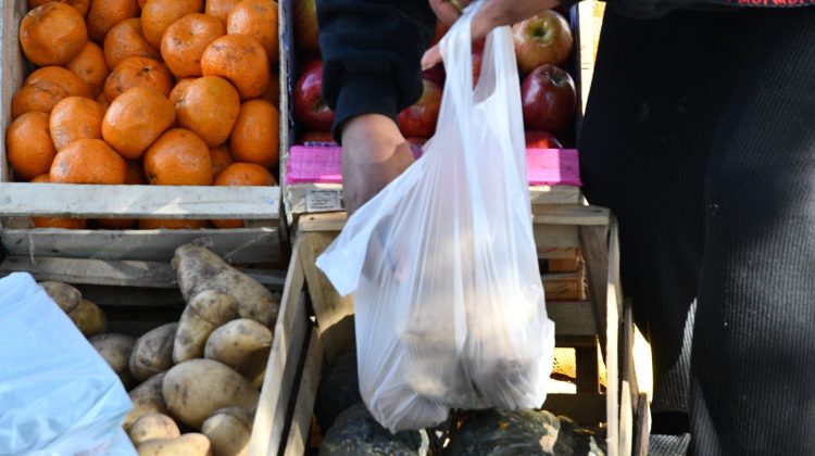 A pesar del frío, la Venta Directa sigue firme en Plaza de los Halcones