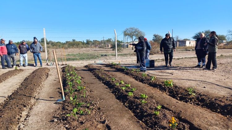 El programa ‘Activá tu Huerta’ puso en marcha la huerta comunitaria en el CAPS de Beazley