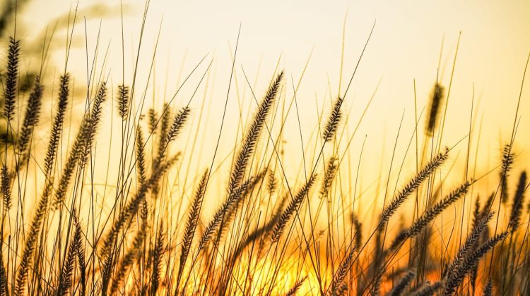 Se mantienen las condiciones climáticas y subirán las temperaturas