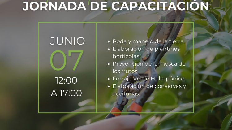 IMProFoP y Sol Puntano ofrecen una capacitación sobre el trabajo de la tierra y su valor agregado