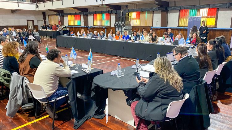 San Luis participó de la 103º Asamblea del Consejo Federal de Discapacidad