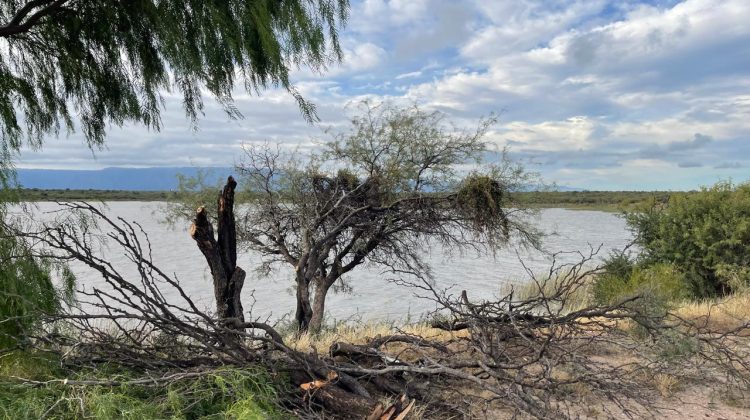 San Luis Agua ejecuta tareas de mantenimiento en el peridique de Los Manantiales