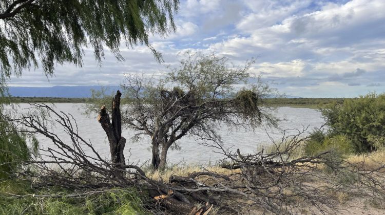 San Luis Agua ejecuta tareas de mantenimiento en el peridique de Los Manantiales