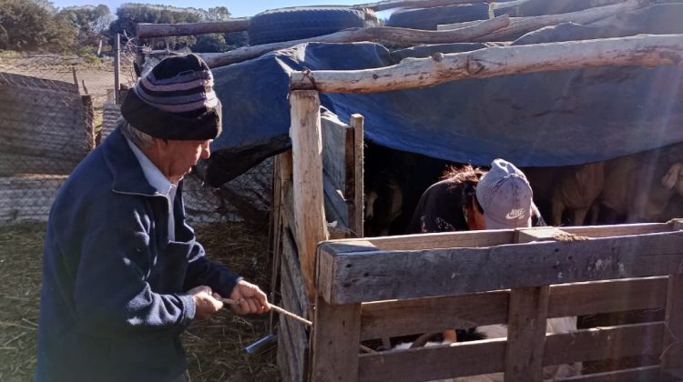 El Gobierno continúa con la asistencia sanitaria a productores en Rodeo Viejo