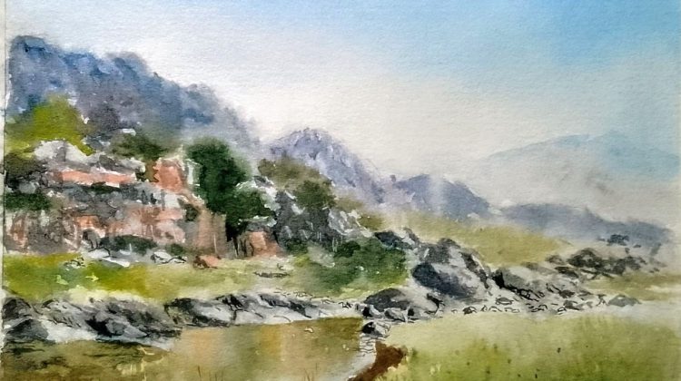 José ‘Pelusa’ Camargo presenta la exposición ‘Naturaleza en movimiento’   