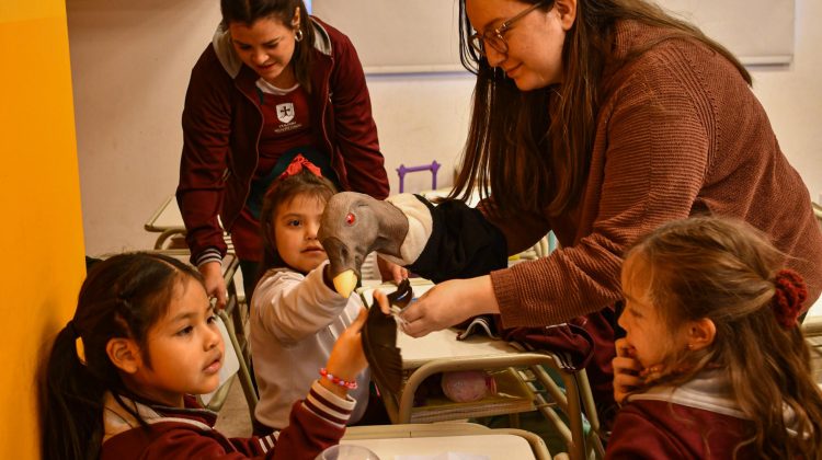 La ‘condormanía’ llegó a dos escuelas de la ciudad San Luis