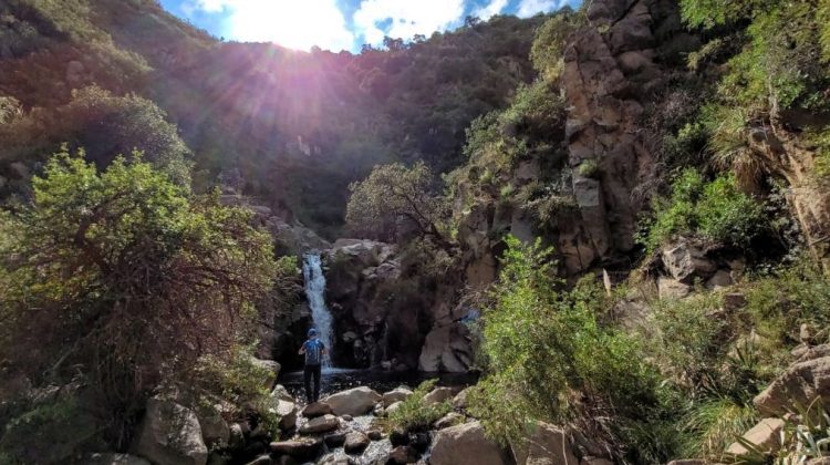 Continúa abierta la convocatoria del Primer Concurso de Fotografía ‘Rincones de Cortaderas’