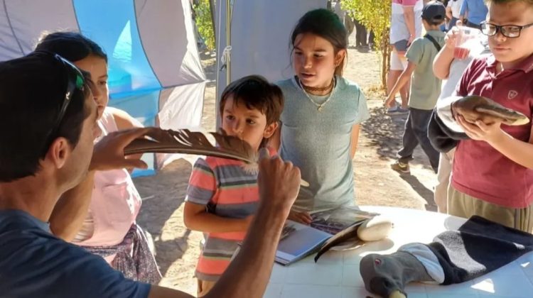 La muestra itinerante del cóndor andino llega a escuelas de la ciudad de San Luis