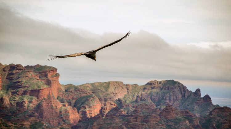 San Luis recibe al turismo todo el año con paisajes naturales únicos y una rica biodiversidad