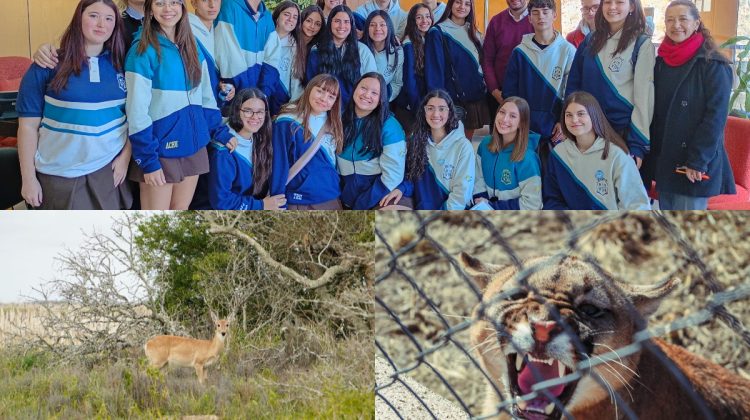 Alumnos presentaron un proyecto para proteger dos especies amenazadas   