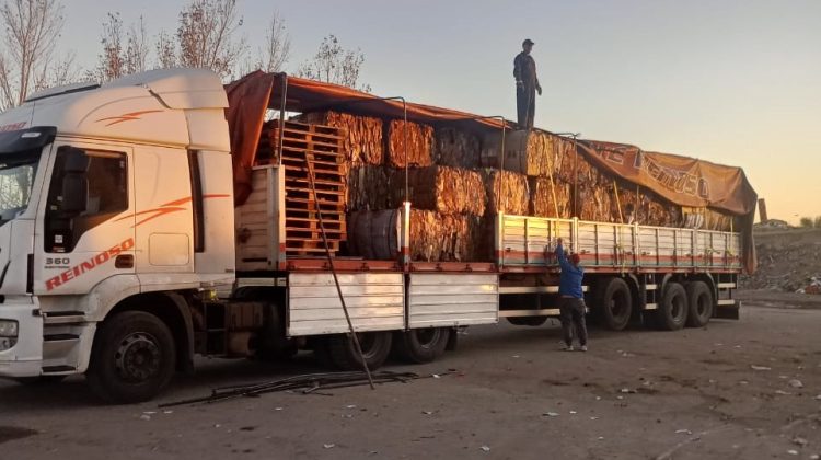 Peuma reinsertó 22.000 kilos de cartón al circuito industrial