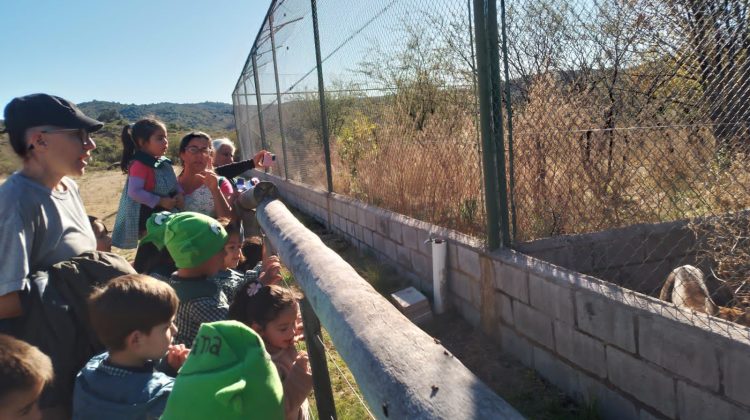 Chicos de nivel Inicial de La Florida recorrieron la Reserva Florofaunística